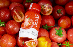 轻健康食品流行趋势下，番念致力于成为健康番茄制品专家